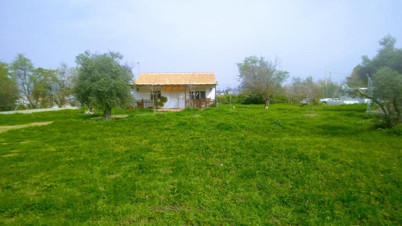 Casa De Campo Los Manueles Ideal Perros Pet Friendly Gojar Exterior foto