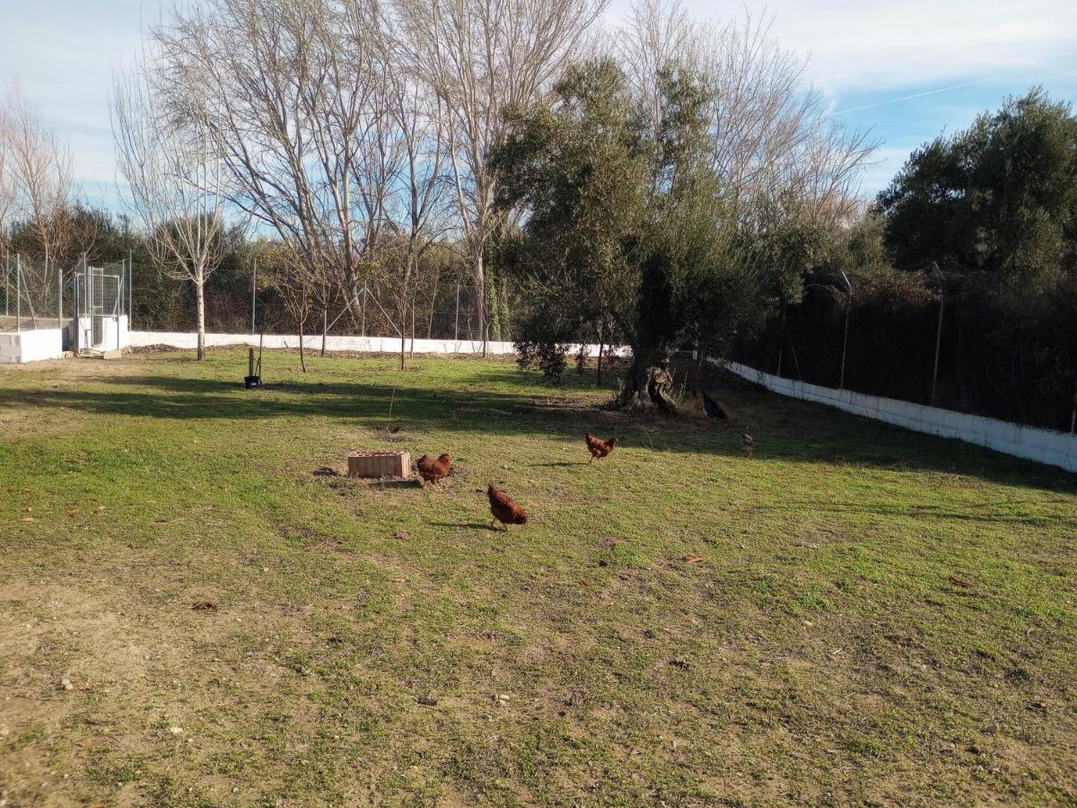 Casa De Campo Los Manueles Ideal Perros Pet Friendly Gojar Exterior foto