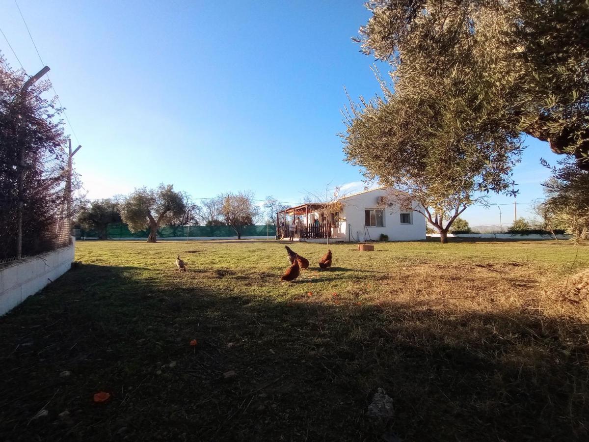 Casa De Campo Los Manueles Ideal Perros Pet Friendly Gojar Exterior foto