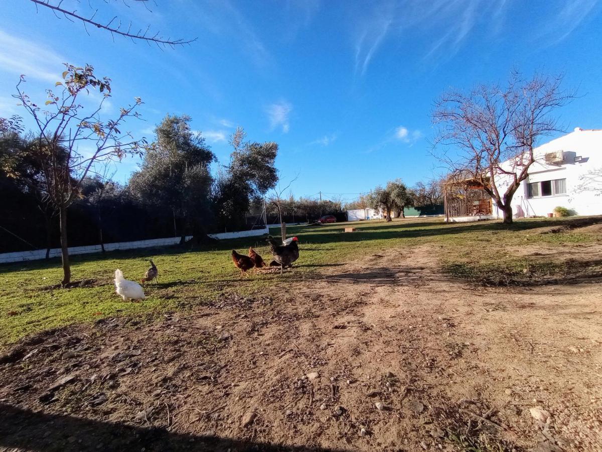 Casa De Campo Los Manueles Ideal Perros Pet Friendly Gojar Exterior foto