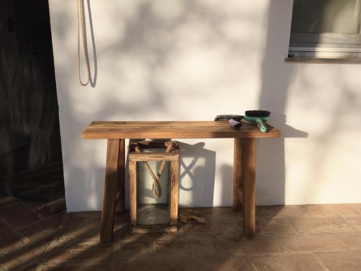 Casa De Campo Los Manueles Ideal Perros Pet Friendly Gojar Exterior foto