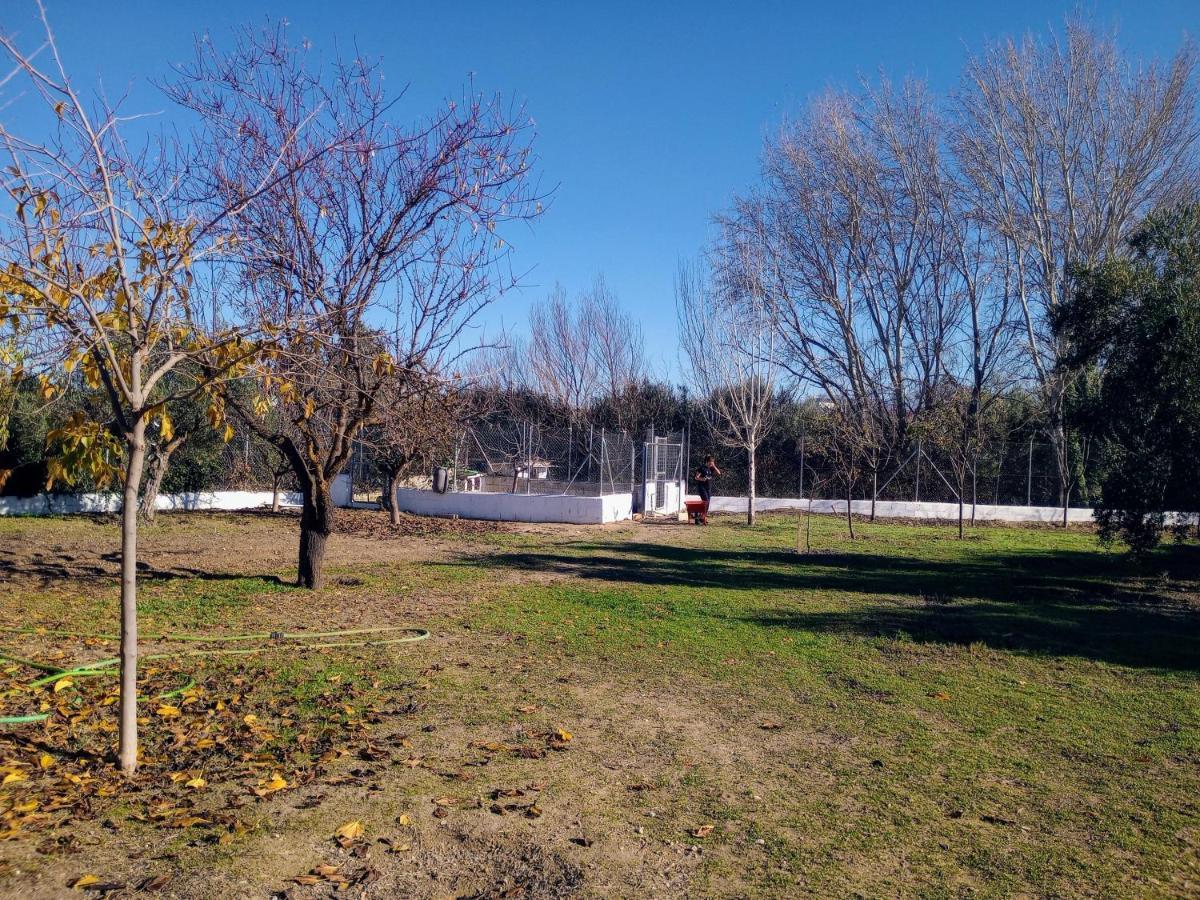 Casa De Campo Los Manueles Ideal Perros Pet Friendly Gojar Exterior foto