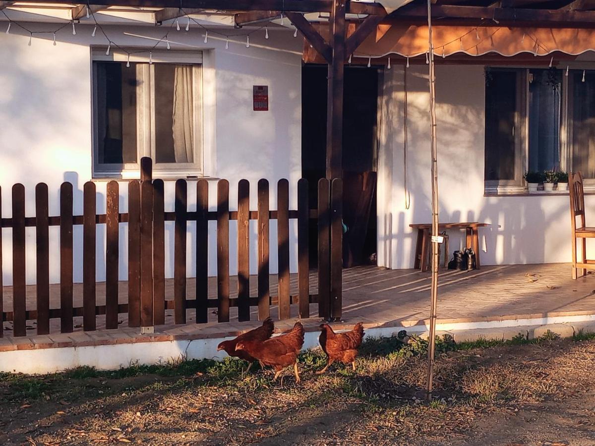Casa De Campo Los Manueles Ideal Perros Pet Friendly Gojar Exterior foto