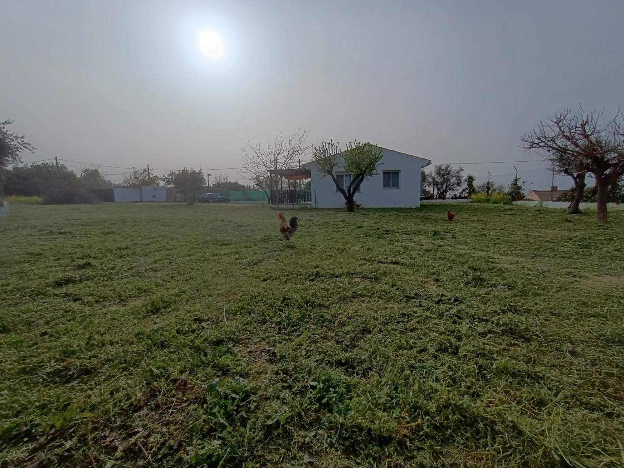 Casa De Campo Los Manueles Ideal Perros Pet Friendly Gojar Exterior foto