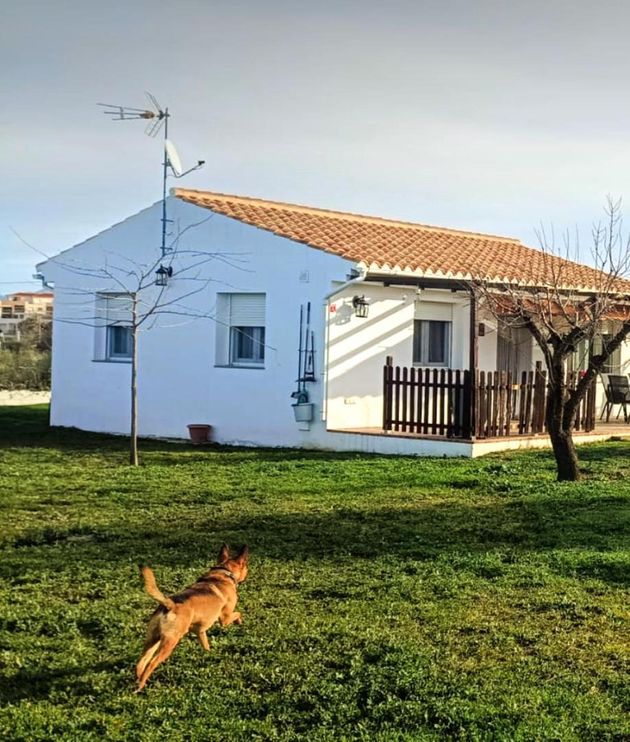 Casa De Campo Los Manueles Ideal Perros Pet Friendly Gojar Exterior foto