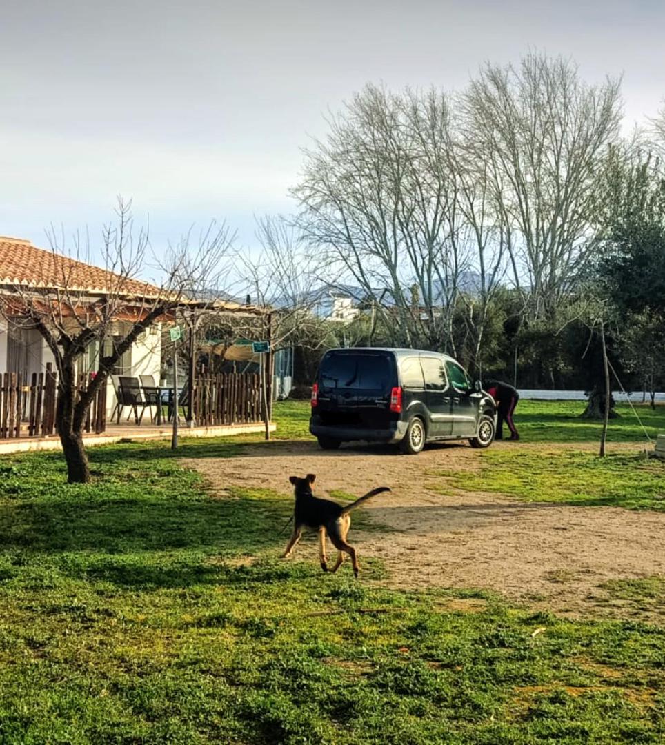Casa De Campo Los Manueles Ideal Perros Pet Friendly Gojar Exterior foto
