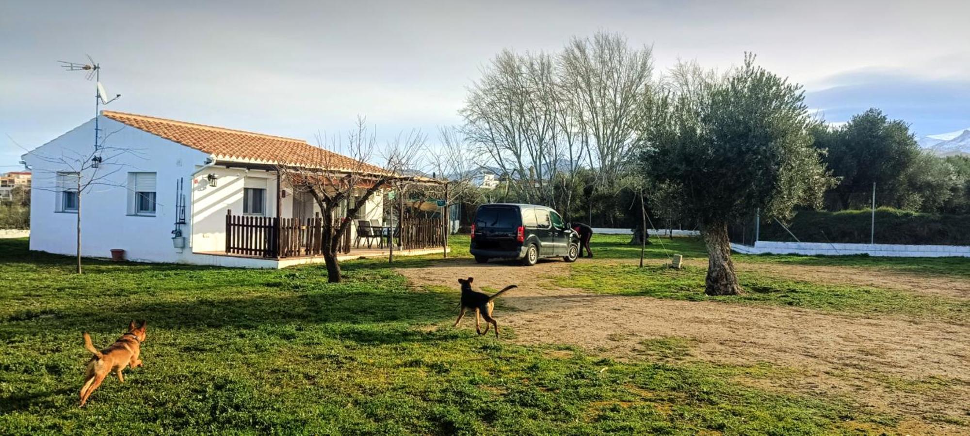 Casa De Campo Los Manueles Ideal Perros Pet Friendly Gojar Exterior foto
